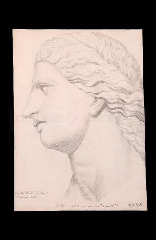 Studio di testa - 1835, matita su carta cm. 40x30, Lovere Accademia di Belle Arti Tadini
